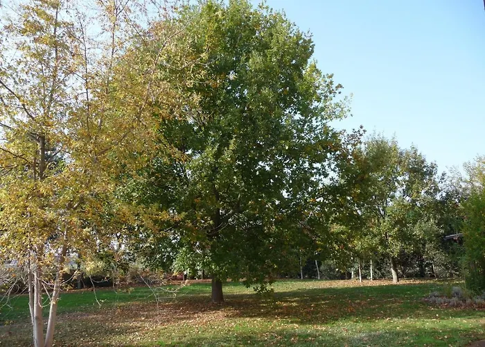 Alojamento de Acomodação e Pequeno-almoço Casa Flosa & Breakfast 3*