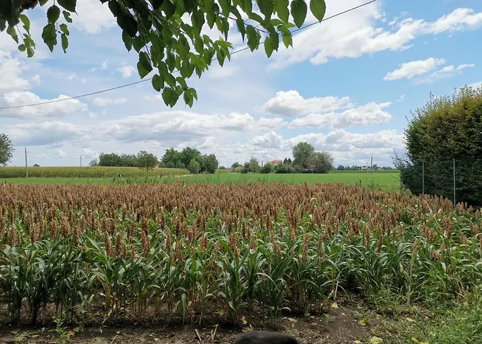 Alojamento de Acomodação e Pequeno-almoço Casa Flosa & Breakfast Medicina (Emilia-Romagna)