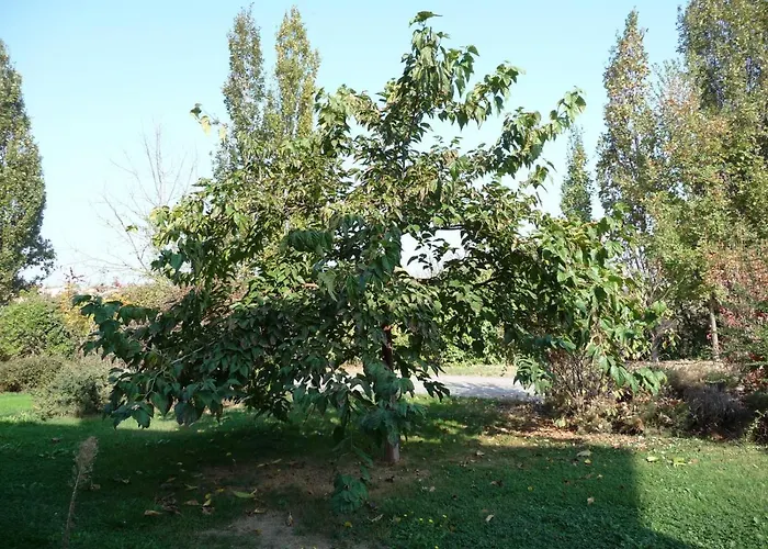 Casa Flosa & Breakfast