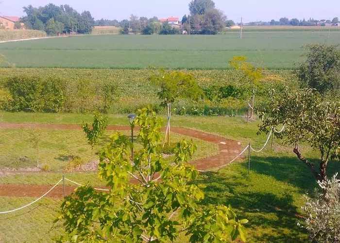 Casa Flosa & Breakfast Medicina (Emilia-Romagna)