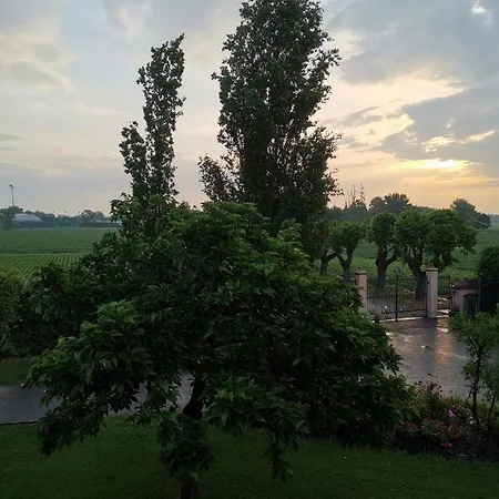 Casa Flosa & Breakfast Медичина