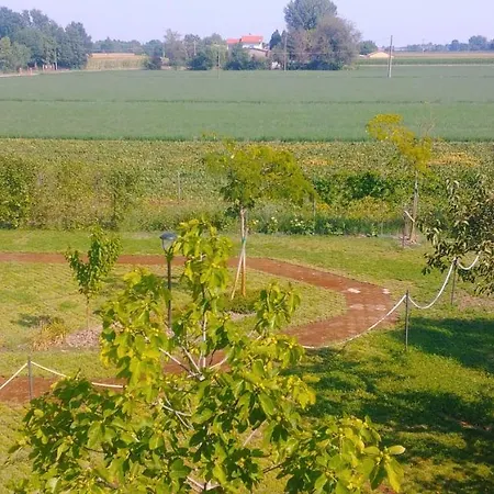 Casa Flosa & Breakfast Медичина