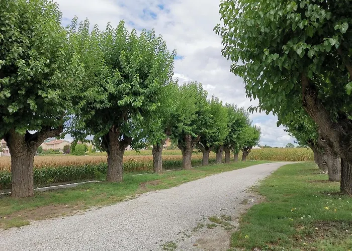 Casa Flosa & Breakfast Bed & Breakfast